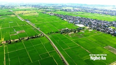 Nghệ An triển khai sớm 3 khu tái định cư phục vụ Dự án Đường sắt tốc độ cao Bắc – Nam