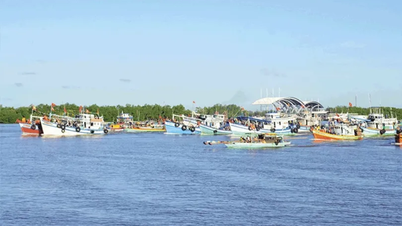 Trần Đề phát huy lợi thế kinh tế biển