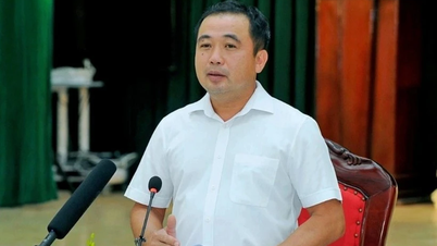 Thủ tướng Chính phủ giao quyền Bộ trưởng Bộ Nông nghiệp và Môi trường đối với ông Trần Đức Thắng