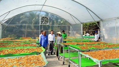 THẨM ĐỊNH VĂN KIỆN ĐẠI HỘI CÁC ĐẢNG BỘ TRỰC THUỘC TỈNH ỦY Khâu đột phá phải gắn với thế mạnh của địa phương