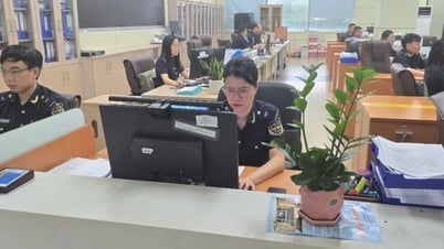 Hải quan khu vực VIII: Lấy cải cách làm phương châm hành động