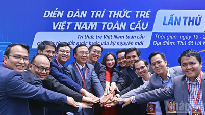 Trí thức trẻ Việt Nam toàn cầu bắt tay thảo luận về phát triển khoa học-công nghệ