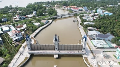 Đồng Tháp: Nâng cao hiệu quả các công trình thủy lợi