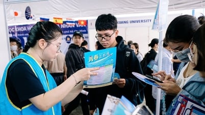 Ngày hội xét tuyển 2025: Cơ hội du học Đài Loan cho sinh viên Việt