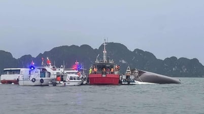 Thủ tướng yêu cầu khẩn trương tìm kiếm cứu nạn v ụ lật tàu tại Quảng Ninh
