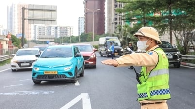 Fortalecer urgentemente el Comité de Seguridad Vial para evitar interrupción de operaciones
