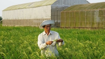 Nỗ lực tự thân vận động trong nghiên cứu khoa học