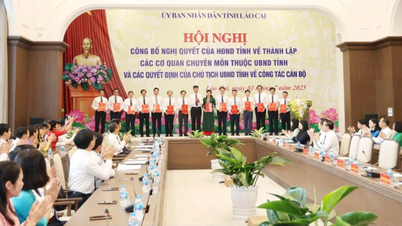 ลาวไกประกาศจัดตั้งหน่วยงานเฉพาะทางภายใต้คณะกรรมการประชาชนจังหวัด