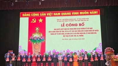 ប្រតិបត្តិការរដ្ឋាភិបាលខេត្ត Gia Lai ថ្មី៖ ការបង្កើតបន្ទះចាប់ផ្តើមសម្រាប់...