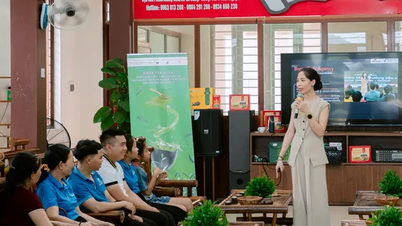 Thai Nguyen: Tea growers in La Bang with joy of settling down
