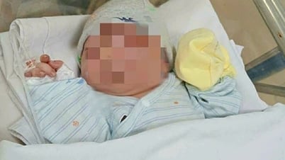 Une petite fille nouveau-née avec le cordon ombilical encore attaché a été abandonnée au bord d'un canal dans la commune de Ba Diem.