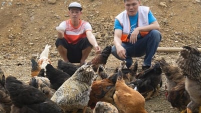Thực hiện Chương trình mục tiêu quốc gia xây dựng nông thôn mới và Chương trình giảm nghèo bền vững giúp bộ mặt nông thôn Thanh Hóa khởi sắc