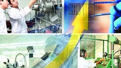 과학기술부의 기능과 업무