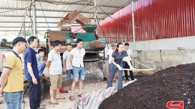 コーヒー廃棄物処理ソリューション