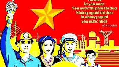 القدرة التنافسية في مرحلة النمو