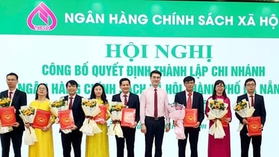 ประกาศการตัดสินใจจัดตั้งสาขาธนาคารนโยบายสังคมในตัวเมืองดานัง