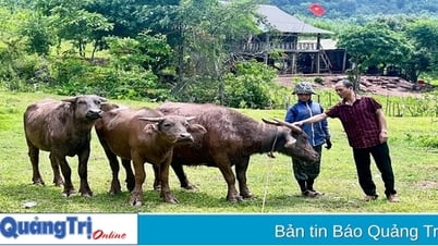 ประชาชนกว่า 8,400 รายได้รับสินเชื่อเพื่อพัฒนาเศรษฐกิจ