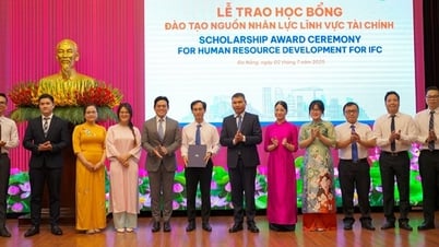 Da Nang aprende de la experiencia en la implementación del centro financiero internacional