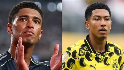 تم تأكيد تأهل ربع نهائي كأس العالم للأندية FIFA