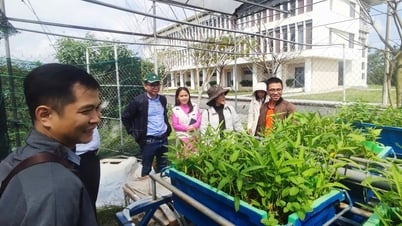 Spreading startup products for the environment