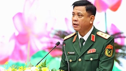 グエン・チュオン・タン中将が国防副大臣の地位に就いている。
