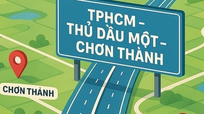 Son Hai Group failed bid in Dong Nai: Ministry of Finance speaks out
