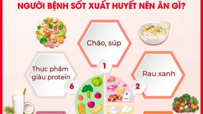 ¿Qué se debe y qué no se debe comer cuando se tiene dengue?