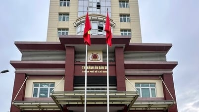 Die Zivilgerichtsvollstreckung in Ho-Chi-Minh-Stadt ändert ihren Namen und reorganisiert ihr System aus 19 Regionalbüros