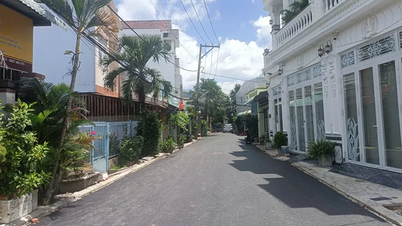 Join hands to upgrade the alley