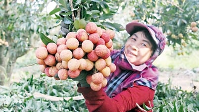 Bắc Ninh: Phát triển nông nghiệp công nghệ cao, tích hợp đa giá trị