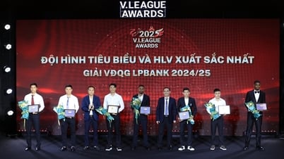 V-League Awards 2025: Tôn vinh giá trị bản sắc