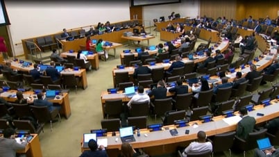 ベトナムはアビエイ平和維持活動の運営予算の合意承認を調整し促進している。