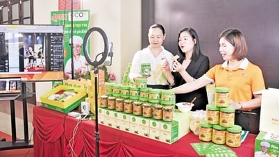 무역과 서비스 분야의 돌파구를 마련할 황금의 기회