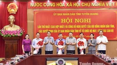 UBND tỉnh gặp mặt cán bộ chuyển công tác và nghỉ chế độ