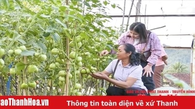 Устойчивое развитие сельскохозяйственных культур в горных районах