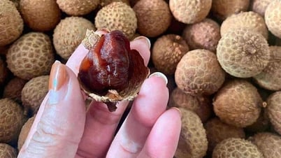 Dried Thanh Ha litchi has the highest price of 100,000 VND/kg