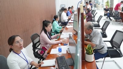 Sehen Sie sich die Karte der 94 Gemeinden, Bezirke und Sonderzonen in Da Nang mit den Orten an, an denen Verwaltungsverfahren durchgeführt werden können.