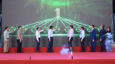 Khánh thành dây chuyền đồ hộp giấy đầu tiên tại Việt Nam