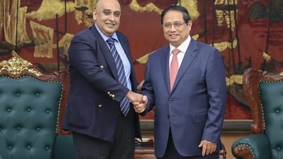 Un grupo singapurense quiere recaudar entre 5.000 y 7.000 millones de dólares para invertir en Vietnam.