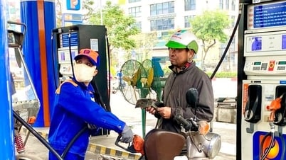 Gasoline and oil prices forecast to drop sharply by 6.8 - 7.5% on July 3