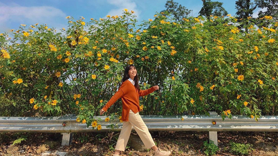 Consejos para viajar durante la temporada de girasoles silvestres en Da Lat: descubre la belleza natural y experiencias memorables