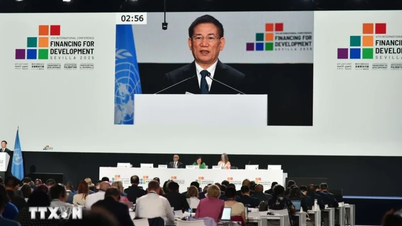 Vietnam expands cooperation at International Conference on Finance for Development