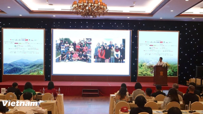 Da Nang - destination of Asian cinema events