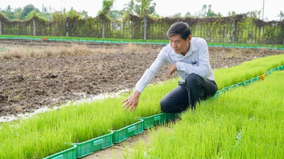 Người tạo ra "gạo ngon nhất thế giới" làm Phó Giám đốc Sở NN&PTNT