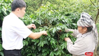 Комары изменяют структуру урожая и скота