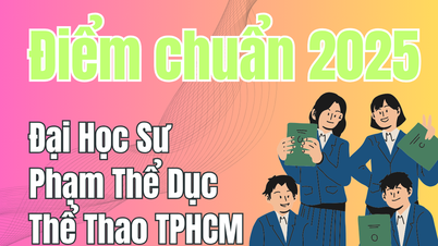 Puntuación de admisión de la Universidad de Educación Física y Deportes de la Ciudad de Ho Chi Minh 2025