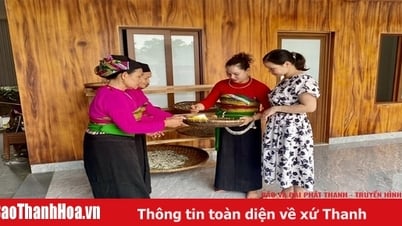 Экономические перспективы модели развития общественного туризма