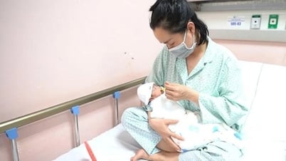 ما هي المستندات المطلوبة للتقدم بطلب الحصول على إعانة الأمومة؟