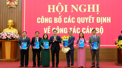 Mr. Nguyen Ngoc Thai is the Director of the Department of Education and Training of Quang Ngai province.