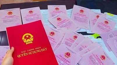 Zweistufiges Kommunalmodell tritt in Kraft: Wichtige Wirtschaftspolitik ab 1. Juli